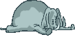 Animation1.gif (5047 octets)