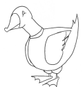 canard.gif (4385 octets)