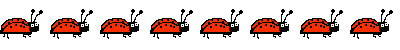 ladybugs.gif (2680 octets)