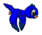 oiseaubleu.gif (8608 octets)