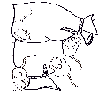 souris2-1.gif (2034 octets)