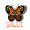 papillon_jojo_nouv.gif (6601 octets)