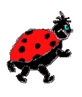cok GM.gif (12552 octets)