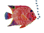 poisson GM.gif (8935 octets)
