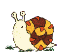 pedro.GM.gif (8899 octets)