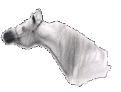 cheval.GM.gif (10079 octets)