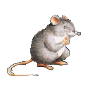 souris.GM.gif (7373 octets)
