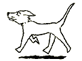 chien gif.gif (4548 octets)
