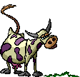 vache2.gif (10716 octets)