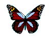 Animation2.gif (7919 octets)