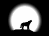 loup.gif (2048 octets)