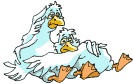mouette3.gif (14855 octets)