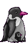 pinguin1.gif (10205 octets)