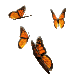 papillon.gif (5238 octets)