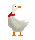 canard_004.gif (1004 octets)