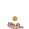 chat.1.gif (2242 octets)