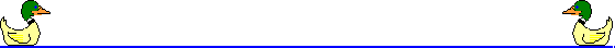 canard.gif (9716 octets)