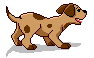 chiot.gif (11223 octets)