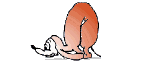 chien_1_gif.gif (6014 octets)