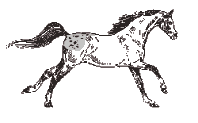 Cheval39 gif.gif (16588 octets)
