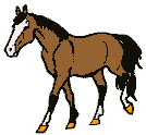 cheval02.gif (5942 octets)