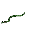 serpent gif.gif (7524 octets)