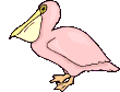 pelcanrose.gif (7781 octets)