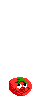 tomat saut gif.gif (1557 octets)